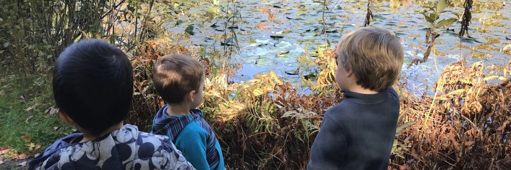 at the pond